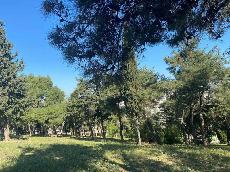 alsos-sykeon3.jpg
