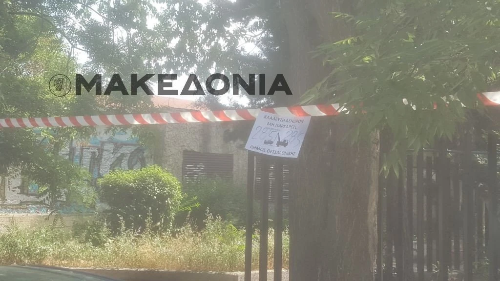 kladema-dentron-egnatia-pamak.jpg