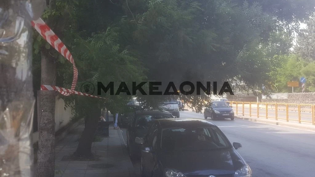 kladema-dentron-egnatia-pamak2.jpg