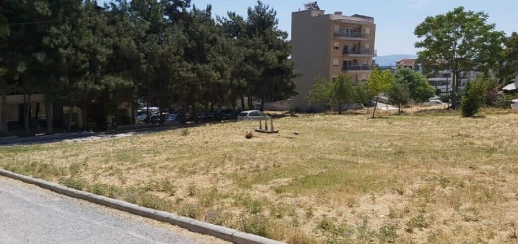 parko.jpg