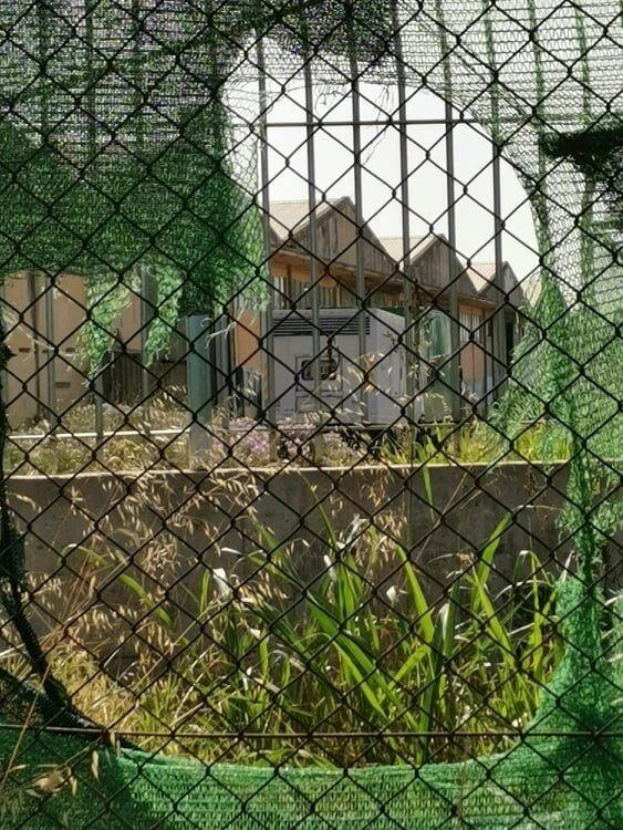 apothikes-kordogianni4.jpg