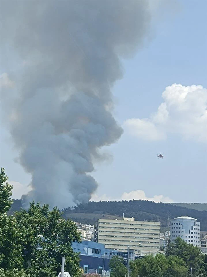 fwtia-seix-sou4.jpg