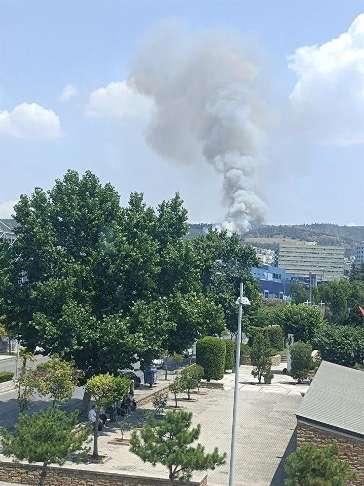 seix-sou-fwtia.jpg