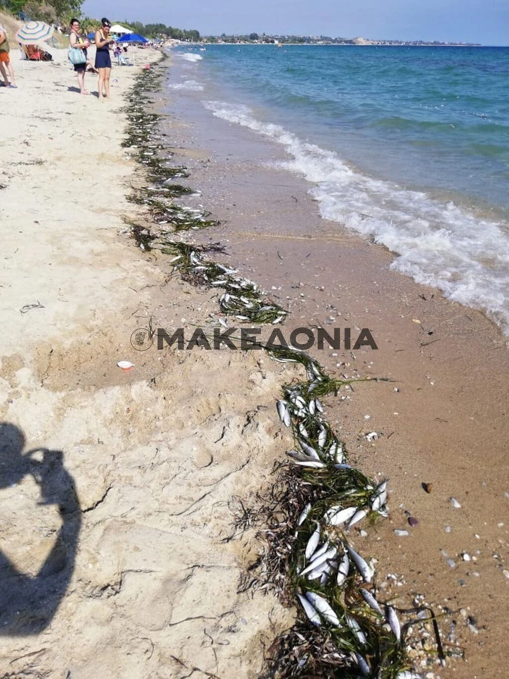 nekra-psaria-mykoniatika-xalkidiki3.jpg
