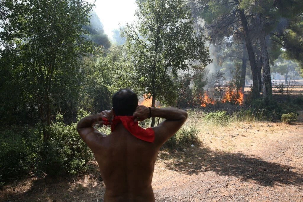 Φωτογραφία από την πυρκαγιά στα Βίλια - Intimenews.gr