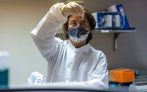 Για πρώτη φορά εντοπίστηκε ο ιός της γρίπης των πτηνών σε πολική αρκούδα στην Ευρώπη