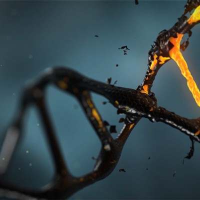 ΑΠΘ: Μαθητές Λυκείου γνωρίζουν το DNA μέσα από εργαστήρια Βιολογίας - Διήμερη εκπαιδευτική δράση στη Θεσσαλονίκη