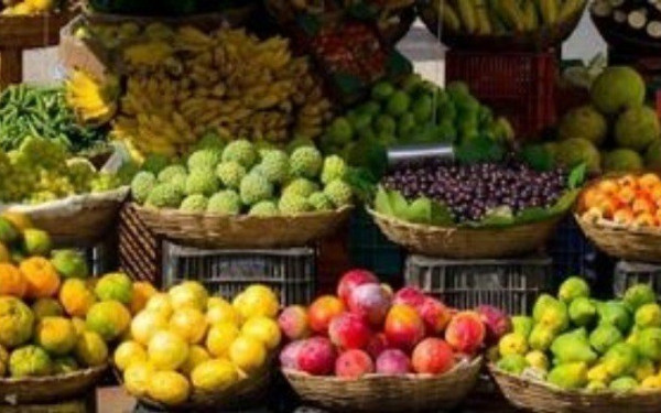 Μειωμένες οι ελληνικές εξαγωγές φρούτων και λαχανικών - Αγκάθια οι αυξήσεις σε πρώτες ύλες και μεταφορικά κόστη