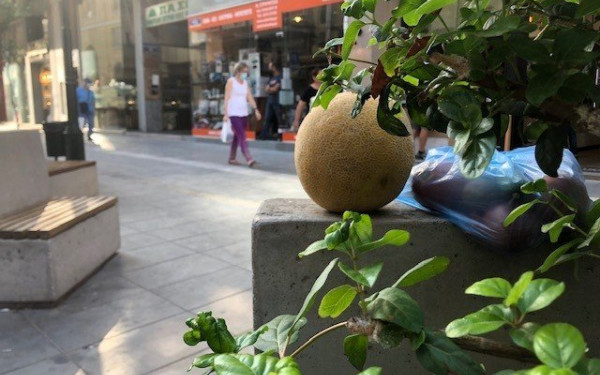 "Άσχημα" φρούτα και λαχανικά για ανθρώπους που έχουν ανάγκη