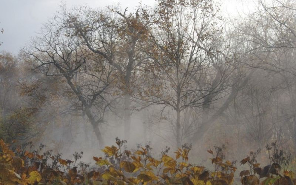 Καιρός: Φθινοπωρινό σκηνικό με τοπικές βροχές και καταιγίδες