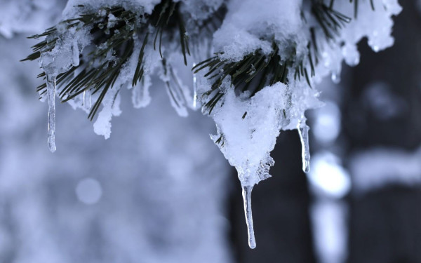 Γερμανία: «Θάφτηκε» από τη χιονοθύελλα το αεροδρόμιο του Μονάχου - Χιλιάδες εγκλωβισμένοι επιβάτες (βίντεο)