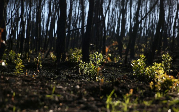 Τα «σκοτεινά» Χριστούγεννα των κατοίκων της Βόρειας Εύβοιας