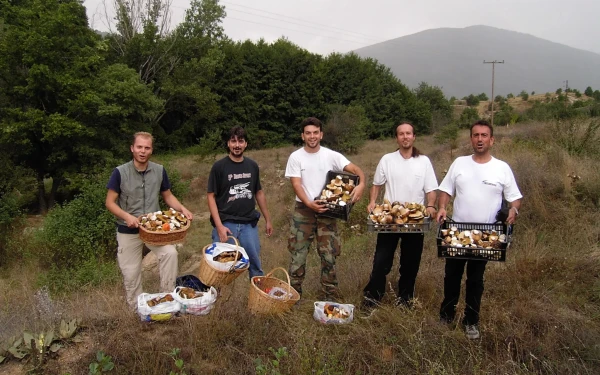 Τα Γρεβενά η πόλη των… μανιταριών (φωτ.)