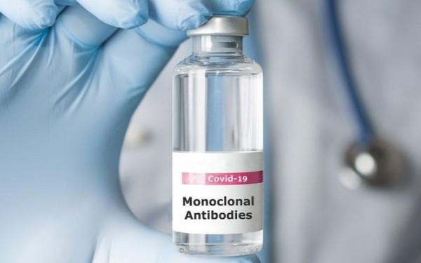 Μελέτη - «Κράκεν»: Ανίσχυρα τα μονοκλωνικά αντισώματα στην υποπαραλλαγή της XBB.1.5