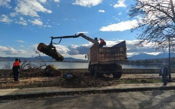 Ιωάννινα: Τα πλατάνια «πεθαίνουν» και στην παραλίμνιο
