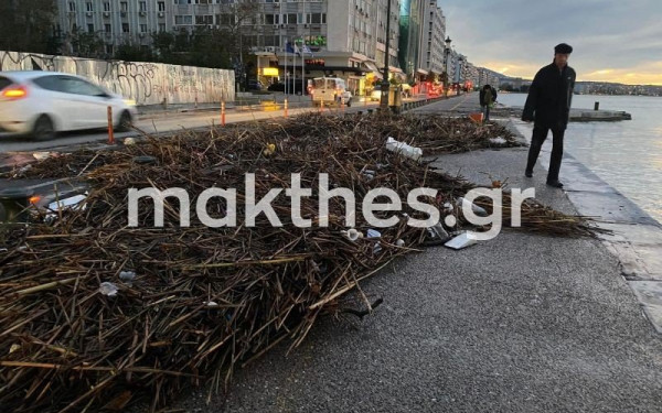 Τσουνάμι... σκουπιδιών στην παραλία Θεσσαλονίκης (Βίντεο-Φωτ.)