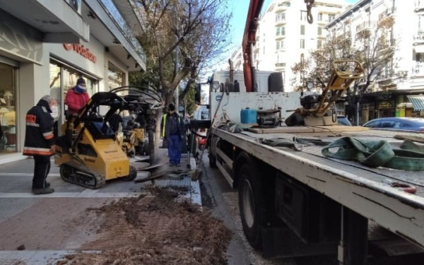 Αντικαθίστανται οι άρρωστες φτελιές της Τσιμισκή -  2.000 νέα δέντρα σε όλο το δήμο (Βίντεο-Φωτ.)