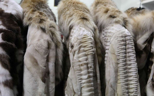 Ο πόλεμος στην Ουκρανία και η ρωσική ελίτ απειλούν με νέα κρίση την ελληνική γούνα