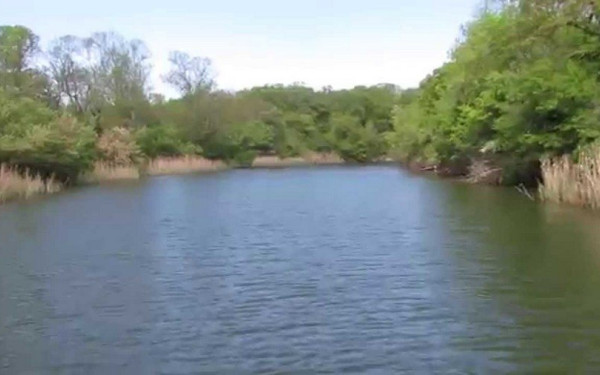 Ανοίγει ο δρόμος για την απομάκρυνση φραγμών από ποταμούς στη Νοτιοανατολική Ευρώπη