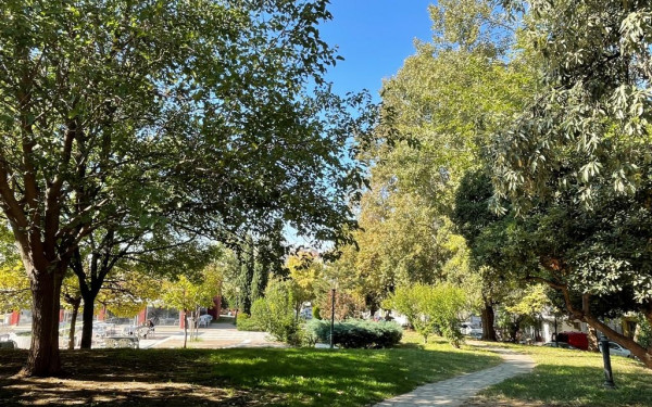 Τα δέντρα θα μπορούσαν να μειώσουν τη θνησιμότητα που συνδέεται με τους καύσωνες στα αστικά κέντρα