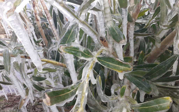 Αγριεύει ο καιρός: Νέο έκτακτο δελτίο δείχνει χιόνι ακόμα και σε χαμηλά υψόμετρα