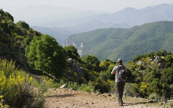 Εντοπίστηκαν 193 δηλητηριασμένα δολώματα σε ορεινή περιοχή της Θεσσαλίας