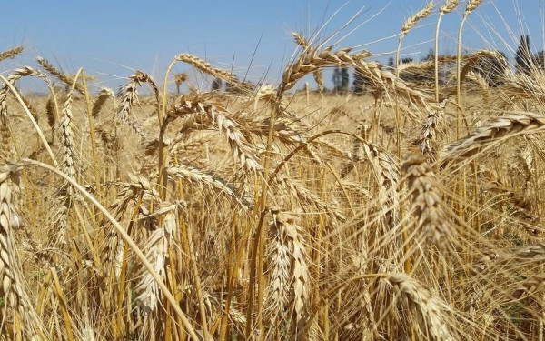 ΥΠΑΑΤ: Μνημόνιο συνεργασίας με την ΕΜΥ - Τι περιλαμβάνει