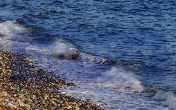 Ύπατη Αρμοστεία για τα ναυάγια: Εκτιμά τις προσπάθειες διάσωσης, ζητάει ασφαλέστερες οδούς
