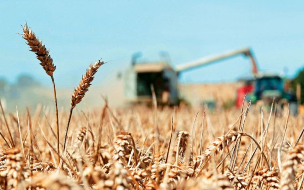 Κωνσταντινούπολη: Πρόοδος στις συζητήσεις για τη συμφωνία της Μαύρης Θάλασσας για τα σιτηρά