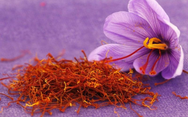 Οι επιστήμονες αποφάνθηκαν: Ο κρόκος, το πιο ακριβό μπαχαρικό στον κόσμο, κατάγεται από την Ελλάδα