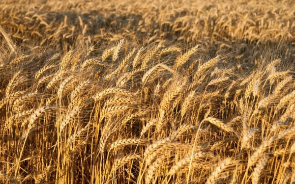 Το ΝΑΤΟ καλεί τη Ρωσία να επιστρέψει στη συμφωνία για την εξαγωγή σιτηρών 