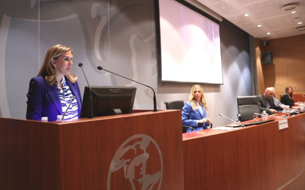 Ζ. Ράπτη: Εργασιακή ανασφάλεια, οικονομικό άγχος και τηλεργασία, επιβάρυναν την ψυχική υγεία των εργαζομένων