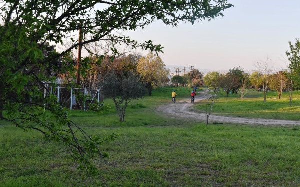 Το Φεστιβάλ Κινηματογράφου Θεσσαλονίκης πάει στο στρατόπεδο Κόδρα με Γουές Άντερσον