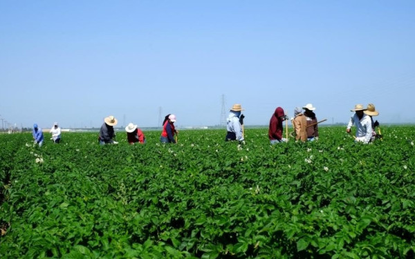 Χαλκιδική: Αντιπλημμυρική προστασία κεντρικού ρέματος Συκιάς