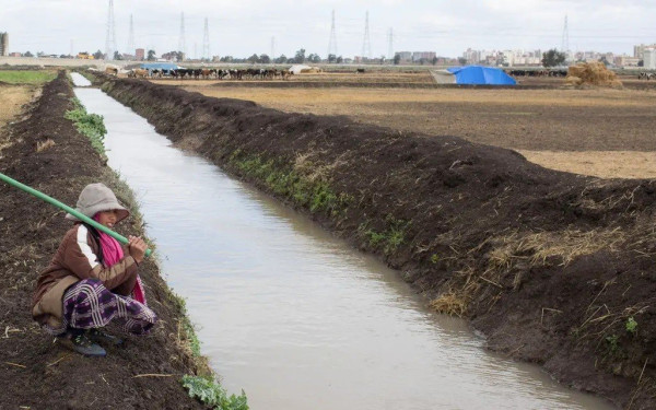 Παλαιστινιακό: Η Αίγυπτος σχεδιάζει να φιοξενήσει μια διεθνή σύνοδο για τη Γάζα