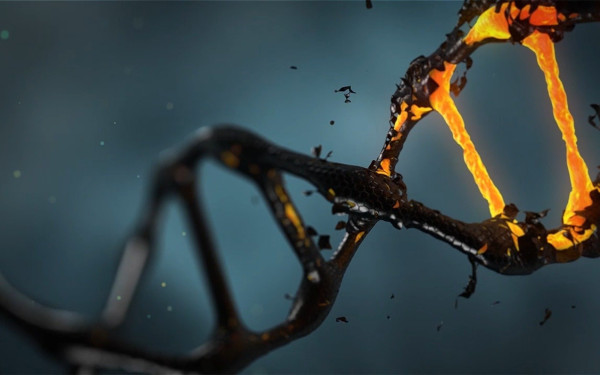 Εφηβος βιοχάκερ έβαλε στο σώμα του με... ένεση το Κοράνι και τη Βίβλο