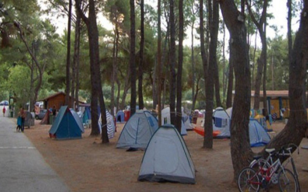 Ανοίγει και πάλι μετά από δύο χρόνια η κατασκήνωση του ΑΠΘ στο Ποσείδι
