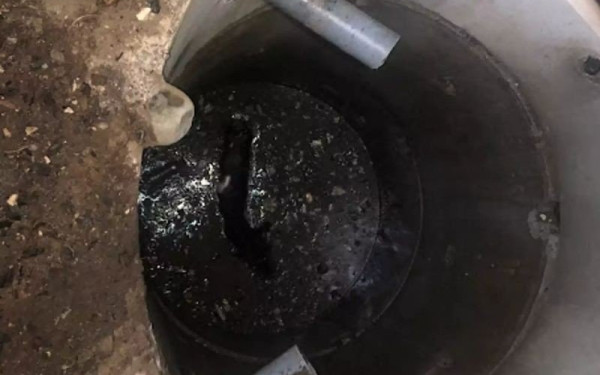 Μέτσοβο: Οι πυροσβέστες έσωσαν αλογάκι που παγιδεύτηκε σε υπόνομο (βίντεο) 