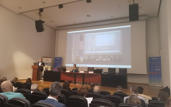 "Χρυσάφι" της ελληνικής γης το χαμομήλι, η ρίγανη, το τσάι του βουνού, ο κρόκος Κοζάνης