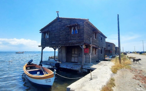 Κ. Τσιάρας: Αν θέλουμε να παραμείνουν ζωντανοί οι παραγωγικοί κλάδοι, πρέπει να επανασχεδιάσουμε δομές και κατευθύνσεις