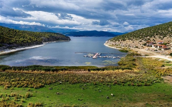 Μια σπάνια «επισκέπτρια» κατέγραψε ο φωτογραφικός φακός στη λίμνη Πρέσπα (φωτ.)