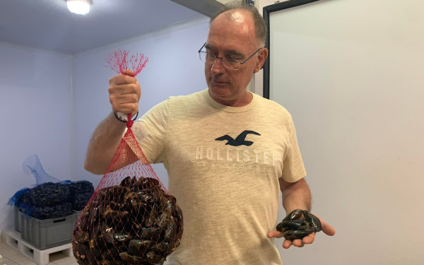 Ολυμπιάδα Χαλκιδικής: Η κλιματική κρίση έδιωξε τα μύδια (φωτ.)