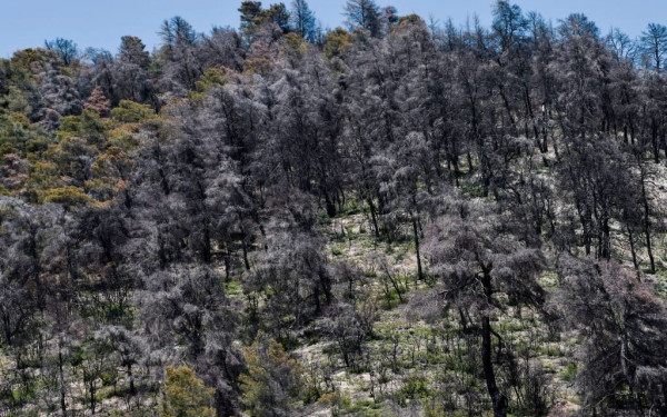 Σύσκεψη υπό Μητσοτάκη για την υλοποίηση του Προγράμματος Ανασυγκρότησης της Βόρειας Εύβοιας 