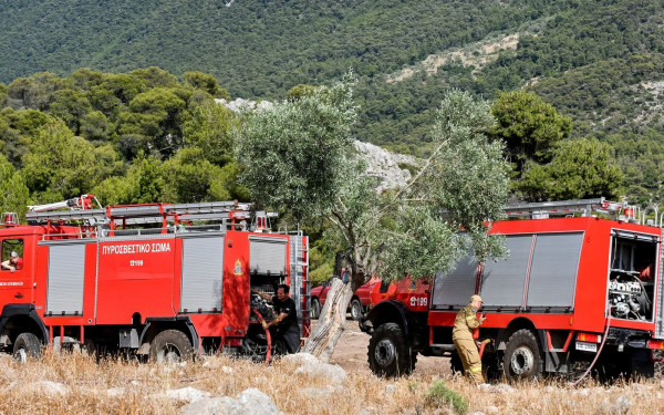Σε γενική επιφυλακή η Πυροσβεστική: Μάχη με τρία πύρινα μέτωπα σε Αττική και Βοιωτία
