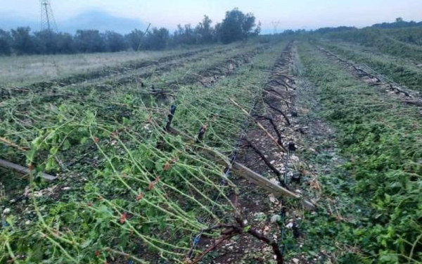 Αρχές Ιανουαρίου σε λειτουργία το νέο «Ταμείο Μικρών Δανείων Αγροτικής Επιχειρηματικότητας»