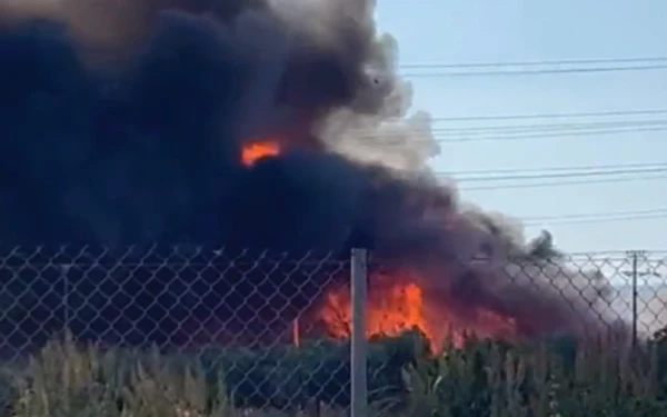 Φωτιά στον Ασπρόπυργο - Μήνυμα από το 112