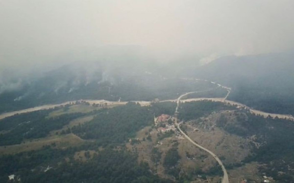 Το Τμήμα Δασολογίας ΔΠΘ στη διάθεση του ΥΠΕΝ για την μεταπυρική αποκατάσταση του δάσους της Δαδιάς