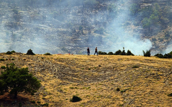 Φωτιά στη Δαδιά: Τι δείχνουν δορυφορικοί χάρτες για την περιβαλλοντική ζημιά