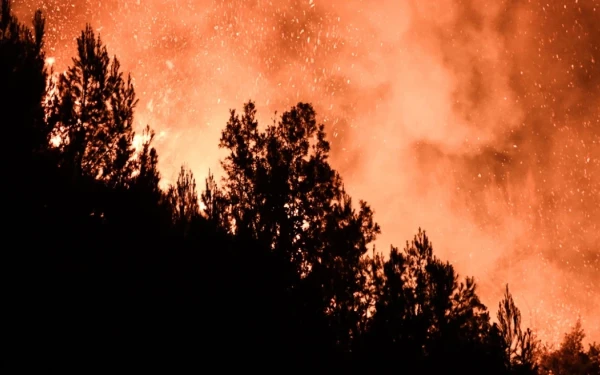 Τραγωδία στη Δαδιά:  Δυο παιδάκια ανάμεσα στους απανθρακωμένους