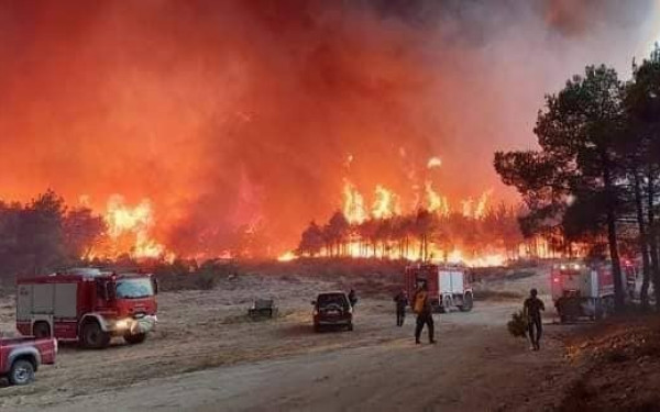 Το ΔΠΘ αναλαμβάνει πρωτοβουλίες για να απαλύνει τις επιπτώσεις από τις φονικές πυρκαγιές στον Έβρο
